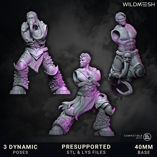 Shards of Excess by Wild Mesh 28/32mm Heroic Scale Miniature, 35mm tall, 3 Units