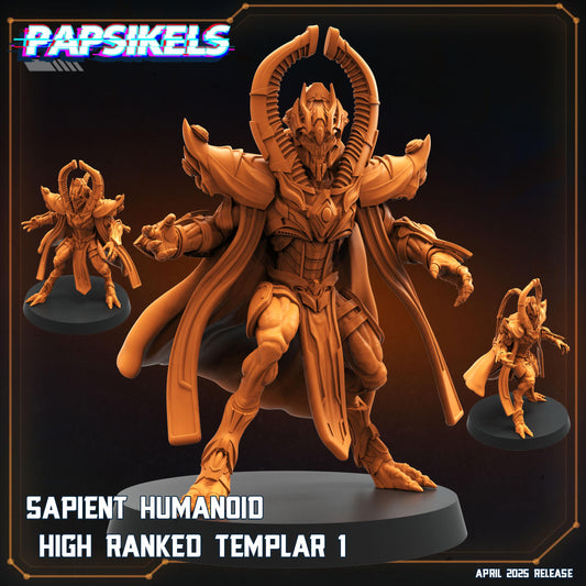 Sapient Humanoid Templar by Papsikels Miniature, 45mm Miniature, 32mm Heroic Scale, War Gaming, Proxy, Trench Crusade, Tabletop gaming